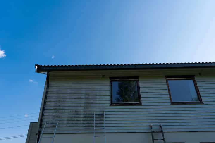Carson Mold and Removal. mold removal carson